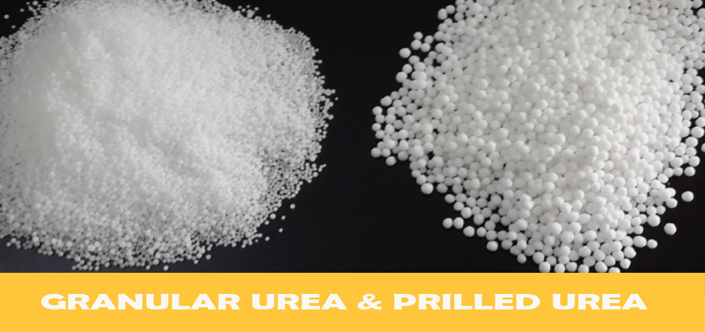 Granular-Urea-Prilled-1